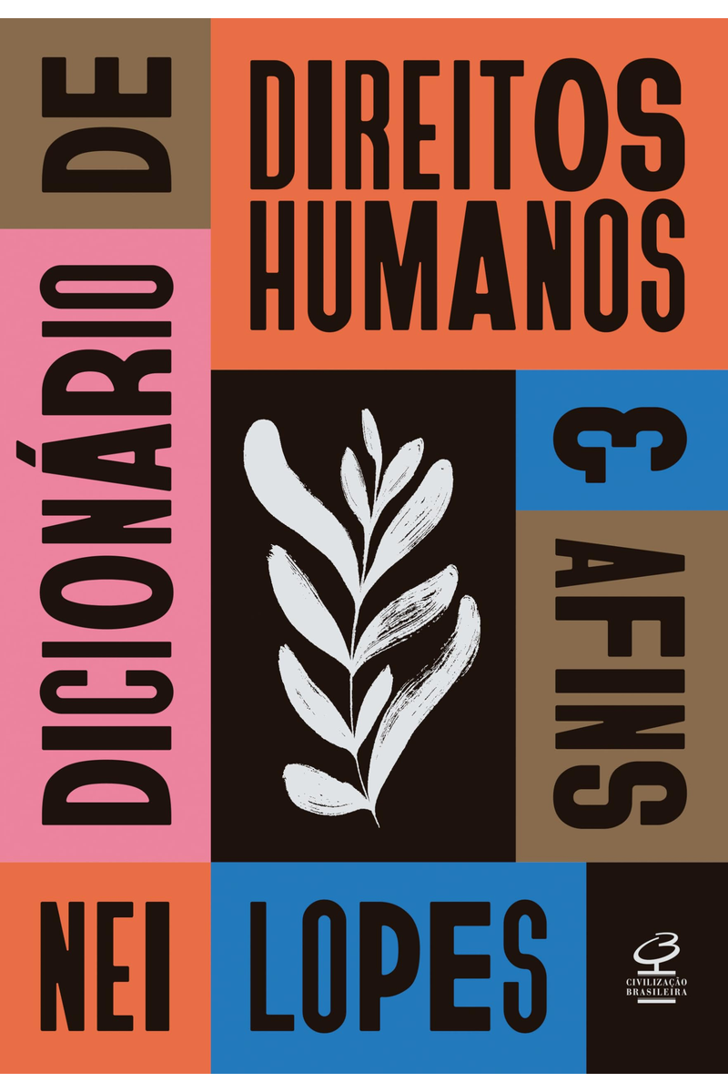 Capa do livro Dicionário de Direitos Humanos e Afins