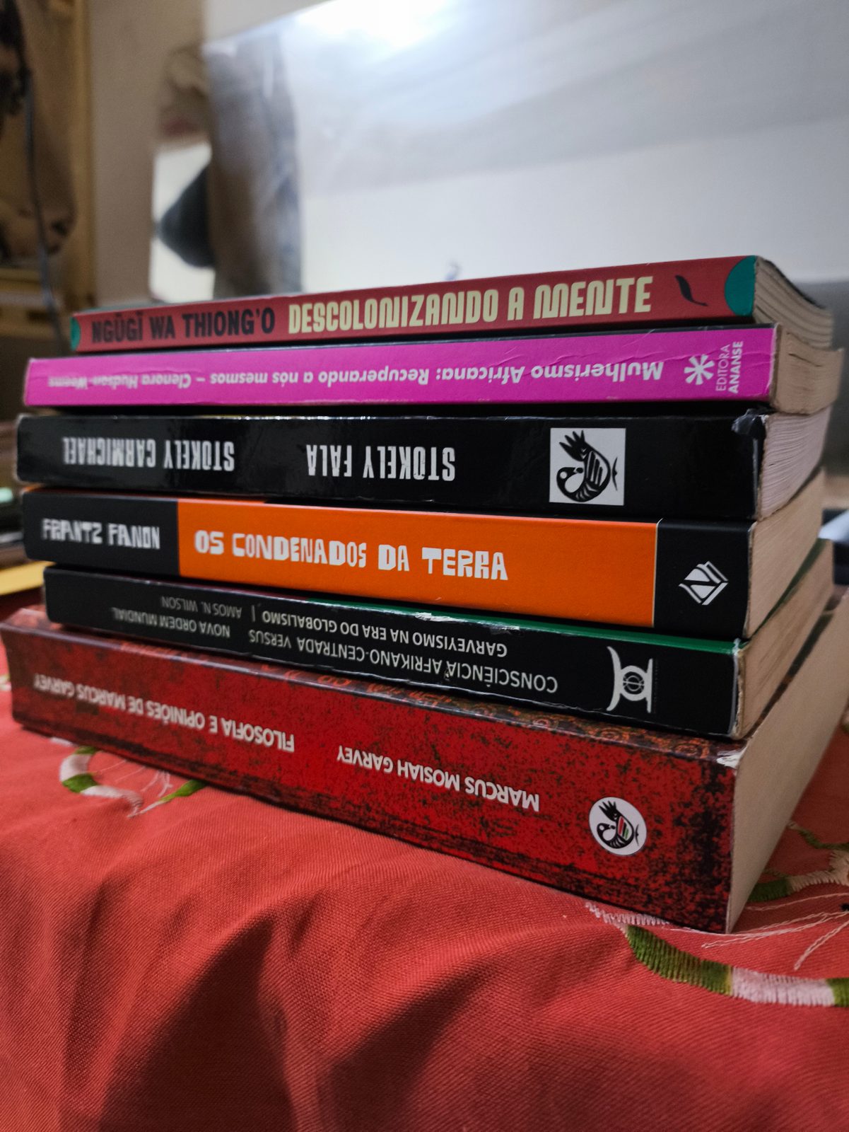 Pilha de livros do acervo REDUAU: Descolonizando a Mente, Mulherismo Africana, Stokely Fala, Os Condenados da Terra, Consciência Afrikano-Centrada e Filosofia e Opiniões de Marcus Garvey