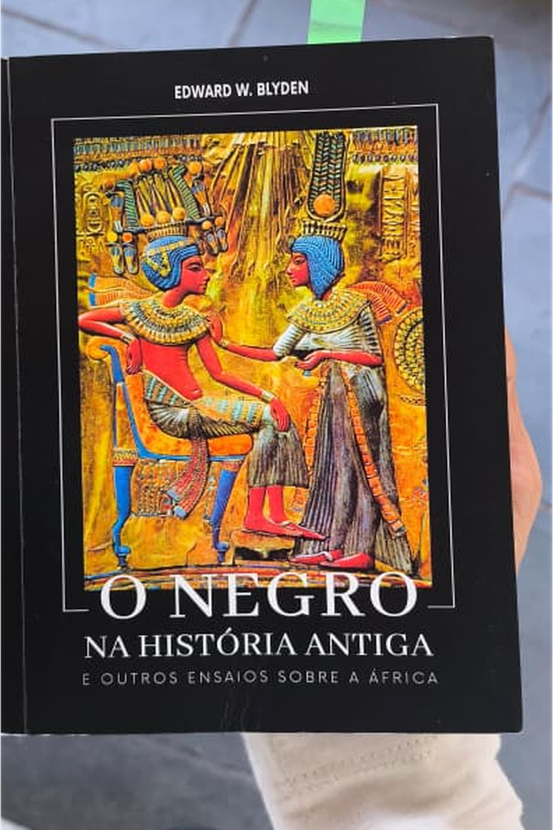 Capa do livro O Negro na História Antiga e outros ensaios sobre a África