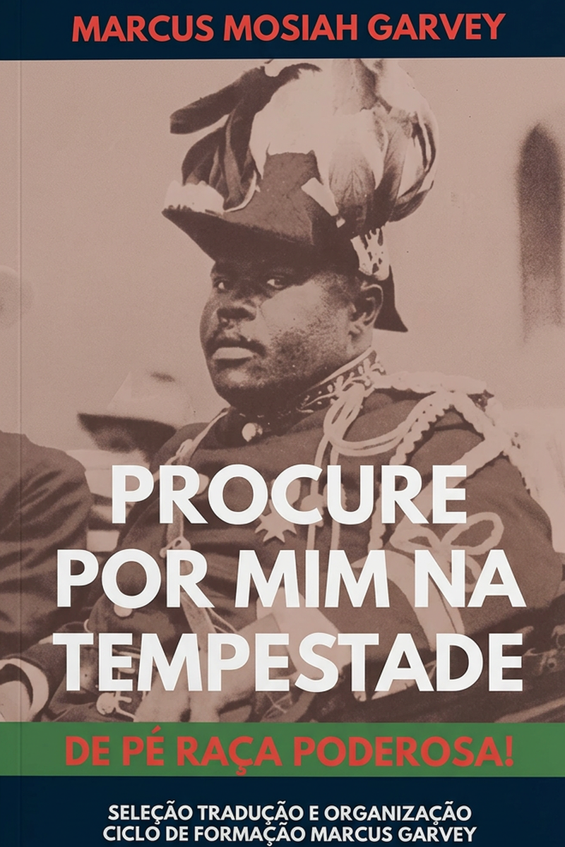 Capa do livro Procure por Mim na Tempestade: De Pé Raça Poderosa!
